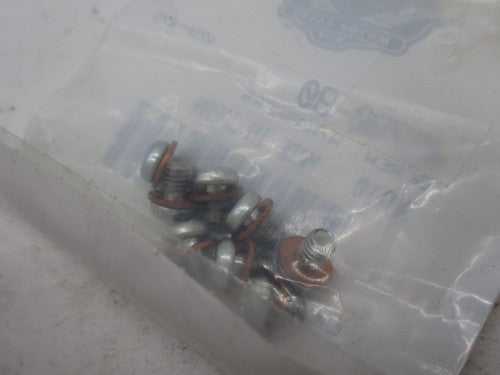 Pack of 10 Harley Davidson Genuine NOS Fork Drain Screws w/ Washers 45