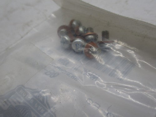 Pack of 10 Harley Davidson Genuine NOS Fork Drain Screws w/ Washers 45