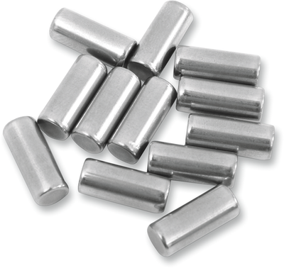 Eastern Performance Crankcase Roller Bearings Right Side - Standard A-