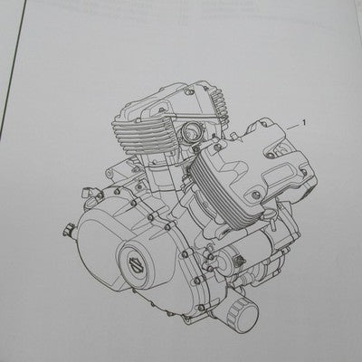 Harley Davidson OEM 2015 Street Models Parts Catalog Factory Official