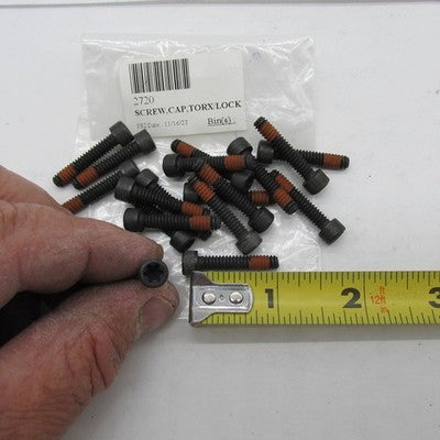 Lot of 18 Harley-Davidson OEM NOS Black Torx Head Lock Screws 2720