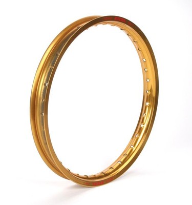 Excel Takasago Front Rim 21x1.60 Gold ICG408