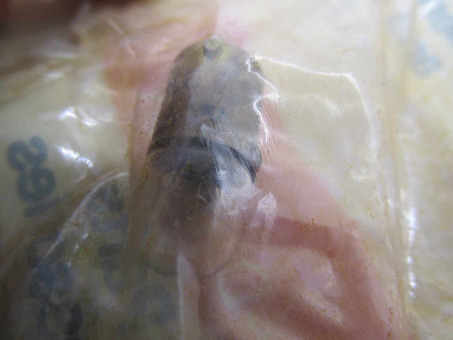 Harley-Davidson Aermacchi Genuine NOS Indicator Light Bulb 71092-73P