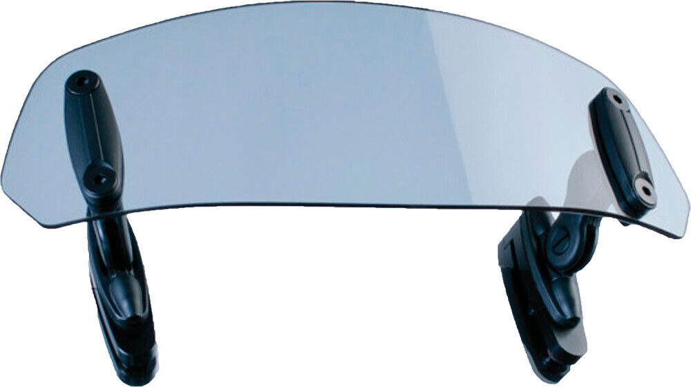 PUIG Clip-On Visor 6319W