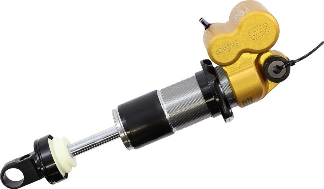 Ohlins TTX22m.2 Coil Shocks SBC 1979