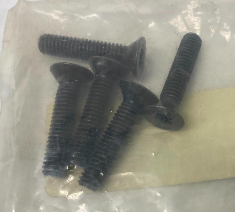 Harley Buell Genuine Screws Lot (5) AA0512.12CBL