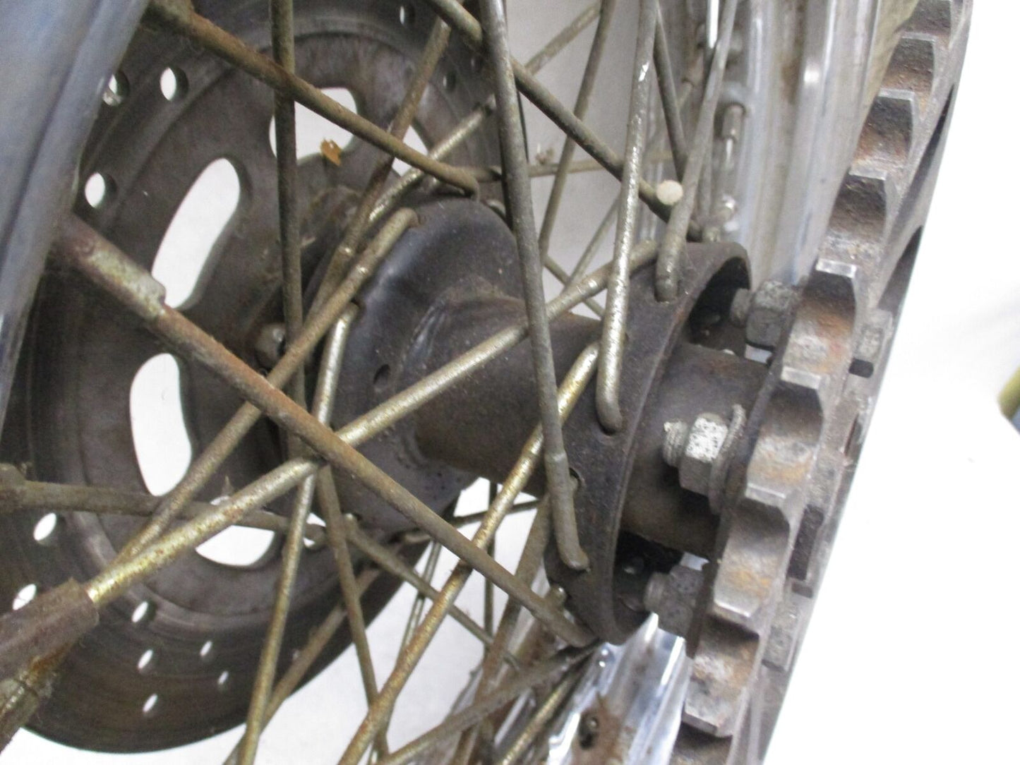 Harley Davidson Dyna 16" Rear Wheel and Tire w/ 49T Sprocket and Disc 44136-92