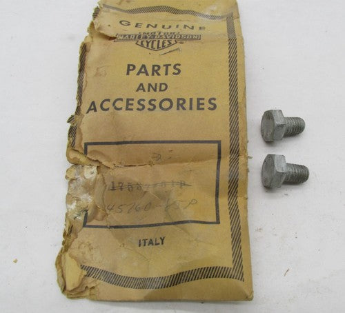Lot of 2 Harley-Davidson Genuine NOS Aermacchi Fork Tube Bolts 45760-6