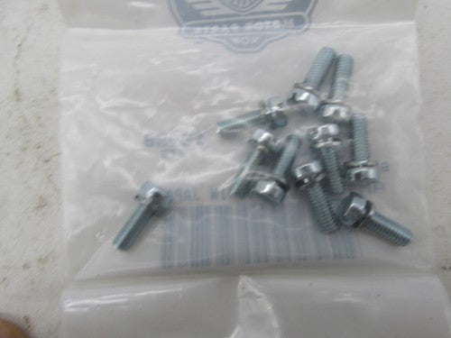 Pack of 10 Harley Davidson Genuine NOS Starter Motor Cover Screws 3158