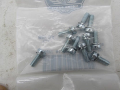 Pack of 10 Harley Davidson Genuine NOS Starter Motor Cover Screws 3158