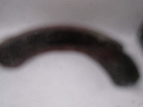 Harley Davidson Genuine Shovelhead Maroon 7" Rear Fender w/ Guide 97 L