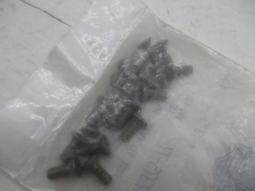 Lot of 19 Harley Davidson NOS Rear Brake Master Cylinder Cover Screws