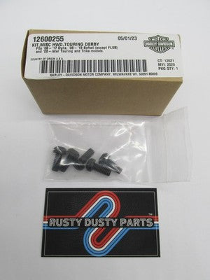 Harley-Davidson Genuine OEM NOS Derby Cover Hardware Kit Black 1260025