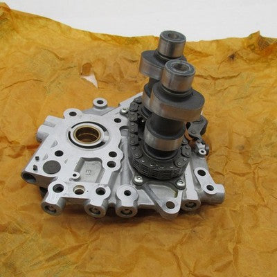 Harley Davidson OEM Twin Cam Camshaft Support Plate 25245-00 with Cams