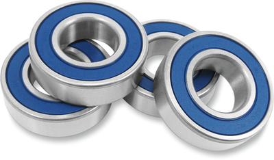 Drag Specialties Wheel Bearing and Seal Kit 25mm ID 0215-0288