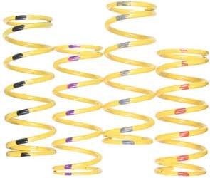 Team Ski-Doo Primary Clutch Springs - Steel Yellow/Light Blue 210141-0