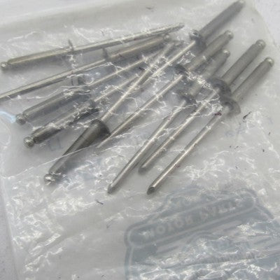Lot of 10 Harley-Davidson OEM NOS Blind Dome Head Rivets 8551
