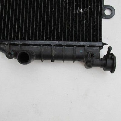 Harley-Davidson OEM 22-24 Pan America 1250/1250S Radiator Core 2680016