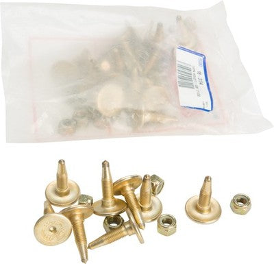 Woody's Gold Digger 60 deg. Traction Master Carbide Studs 1.005in. Stu