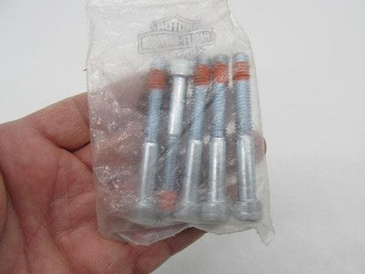 Lot of 5 Harley Davidson Genuine NOS Hex Socket Head Screws Bolts 876
