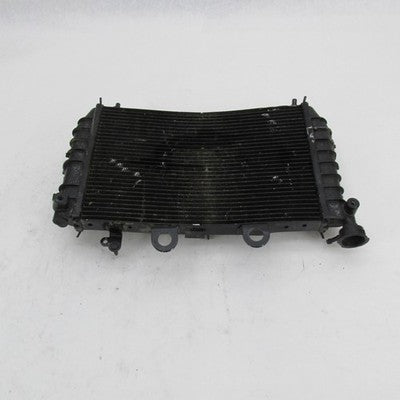 Harley-Davidson OEM 22-24 Pan America 1250/1250S Radiator Core 2680016