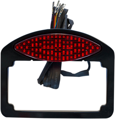 Russ Wernimont Designs LED Taillight/Turn Signal/License Plate Mount RWD-50179