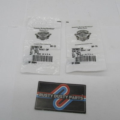 Lot of 2 Harley-Davidson OEM NOS SEMS Hex Socket Head Cap Screws 10200