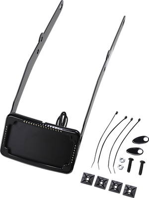 Cycle Visions Curved License Plate Mounts with LED Lights Black CV4655