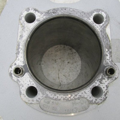 Pair of Harley OEM Stock 99-06 Twin Cam 88 Cylinder Jugs Silver 16593-