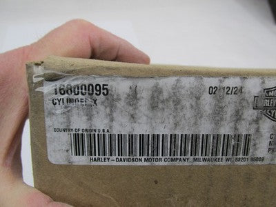 Genuine Harley Davidson Pair of Engine Cylinders  M8 107 NOS In box 16