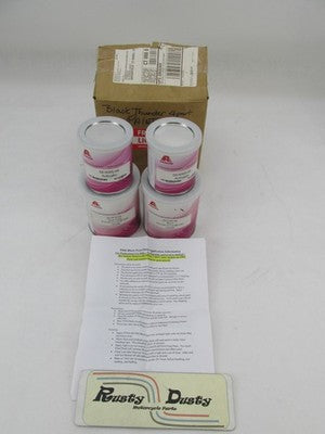 OEM Indian Black Thunder Pearl P666 Paint Kit Axalta SE5200 SE5010 SE5