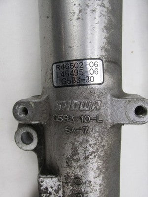 Harley Davidson OEM Pair Lower Fork Legs 46502-06 46495-06