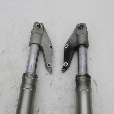 Buell Harley Davidson Pair Front Fork Slider Assy RH and LH 46096-98Y