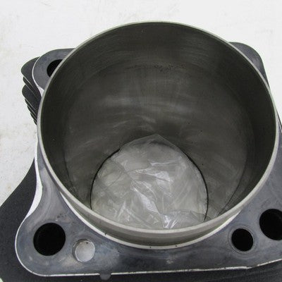 Pair of Harley Davidson OEM M8 Milwaukee Eight 107" Bored to 117" Cyli