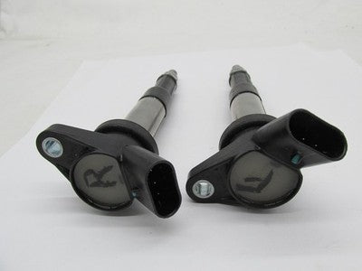 Indian Scout Ignition Coil Spark Plug Stick Pair 28445098