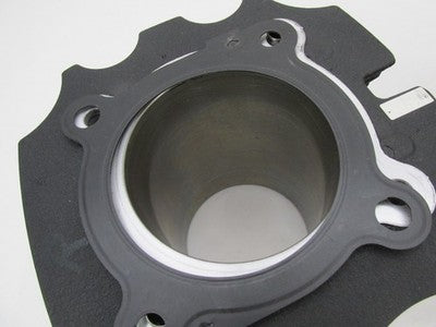 Indian OEM 2019 Thunderstroke 116ci Cylinder Barrel Jug Pair, 2300mi