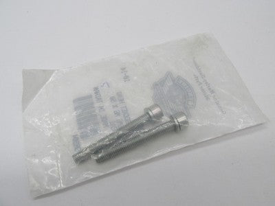 Lot of 2 Harley-Davidson OEM NOS M6 x 50 SEMS Socket Head Screws 1030M