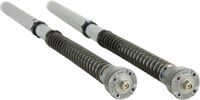 Ohlins Road and Track 30mm Front Fork Cartridge Kit FGK 202