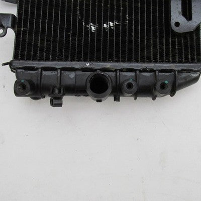 Harley-Davidson OEM 22-24 Pan America 1250/1250S Radiator Core 2680016