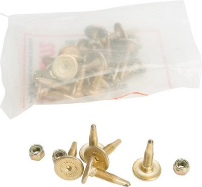 Woody's Gold Digger 60 deg. Traction Master Carbide Studs 1.175in. Stu