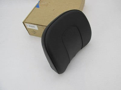 Indian Motorcycle Genuine NOS Touring Passenger Backrest Pad 2884801-V