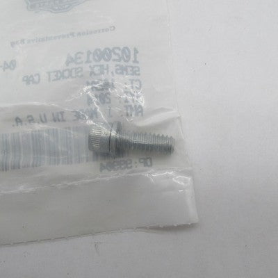 Lot of 2 Harley-Davidson OEM NOS SEMS Hex Socket Head Cap Screws 10200