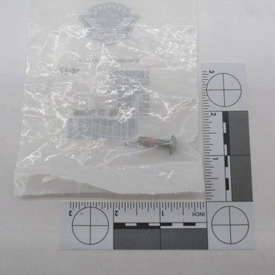 Lot of 2 Harley Davidson Genuine NOS Torx Truss Head 10200223