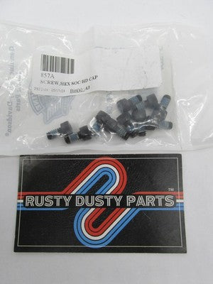 LOT of 10 Harley-Davidson OEM NOS #10-24 x 3/8" Hex Socket Head Cap Sc