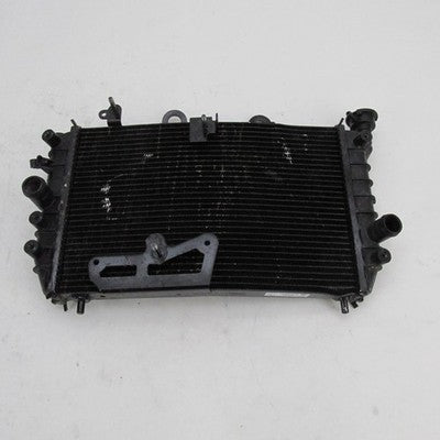 Harley-Davidson OEM 22-24 Pan America 1250/1250S Radiator Core 2680016