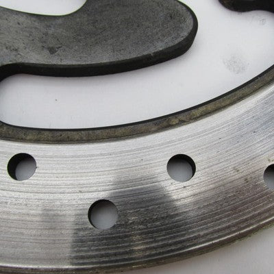 Pair of Harley-Davidson Genuine OEM Rear Brake Rotor Discs 41810-08A