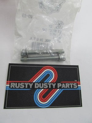 Lot of 2 Harley-Davidson OEM NOS Hex Socket Cap SEM Screws 4820A