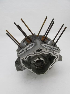 S&S Cycle Big Dog X-Wedge Engine Case Block No Serial Number