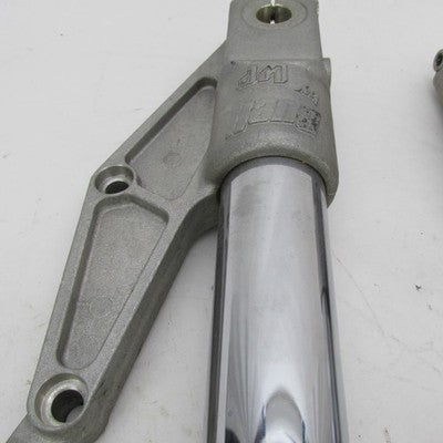 Buell Harley Davidson Pair Front Fork Slider Assy RH and LH 46096-98Y
