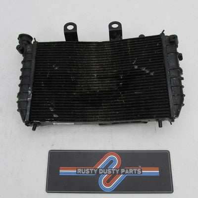 Harley-Davidson OEM 22-24 Pan America 1250/1250S Radiator Core 2680016